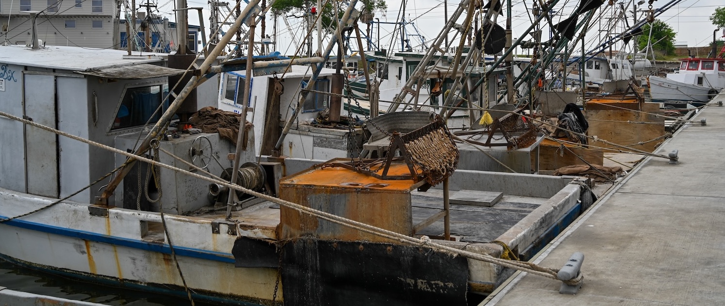 Introducing the Next Generation Oil Spill Researchers Initiative