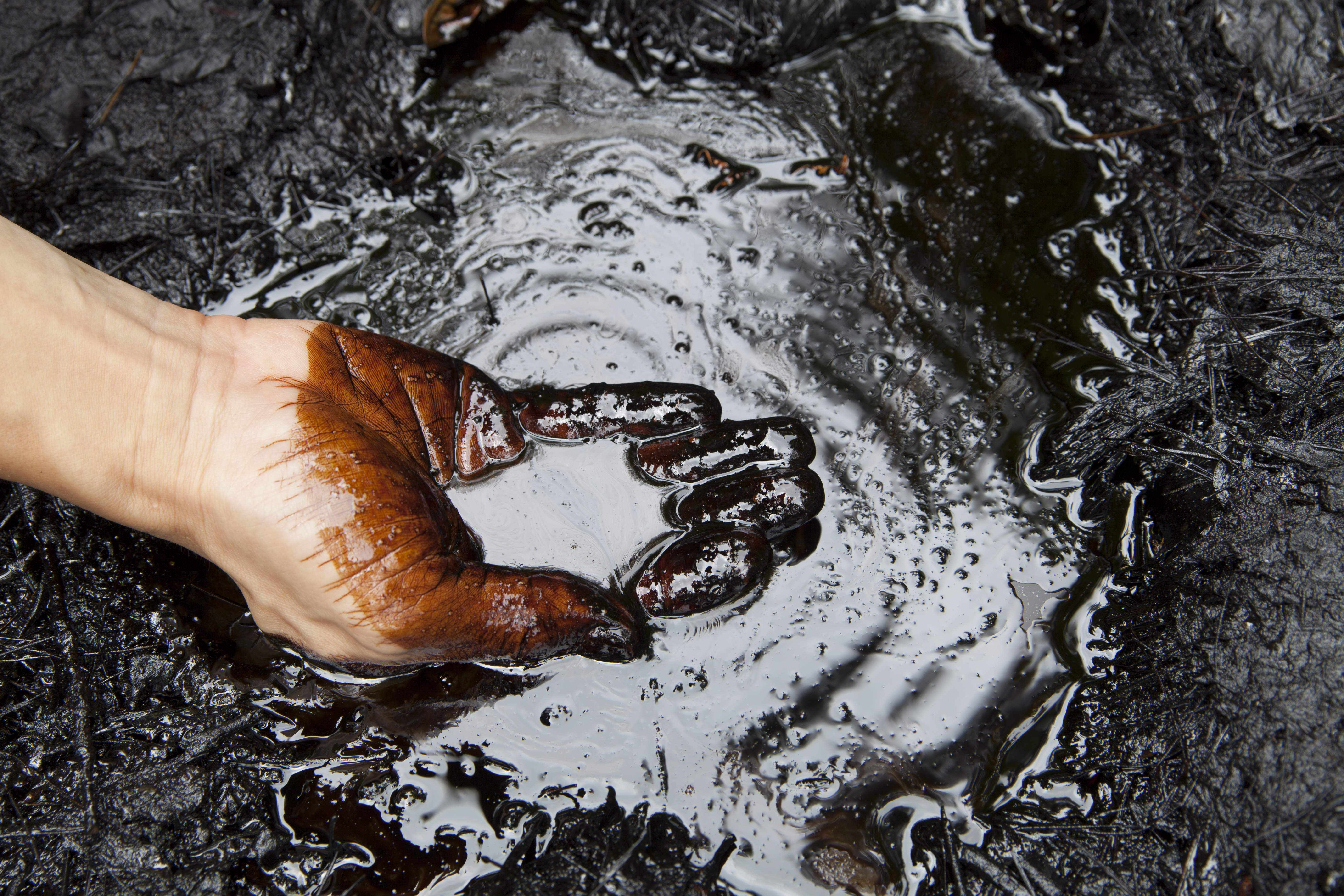 Cupped hand holding black oil in water