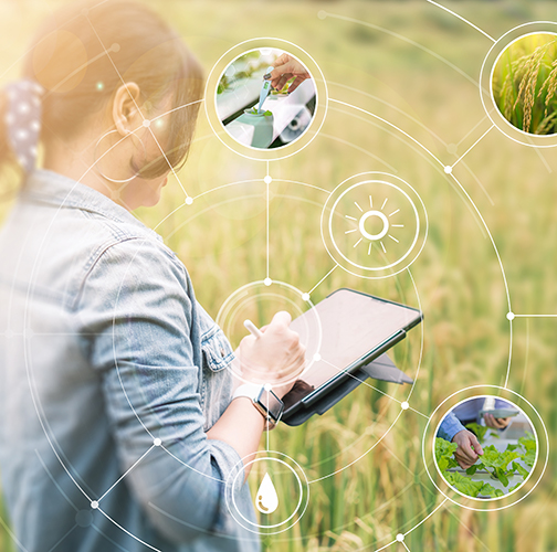 Natural Hazards Center