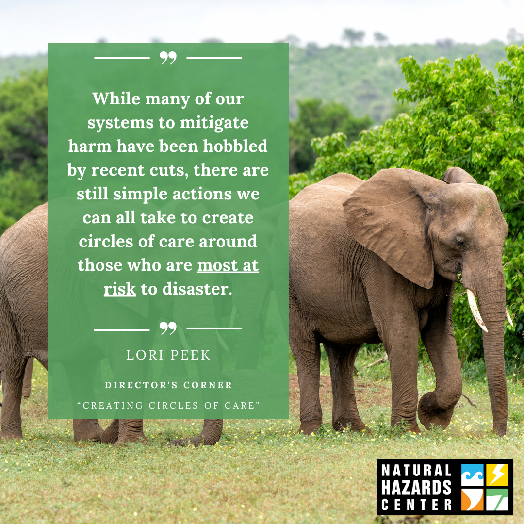 During a recent earthquake, elephants reminded us to stand together and protect the most vulnerable. Director Lori Peek explores how we can follow in their large footsteps for the good of others. Read more in the latest Director's Corner.