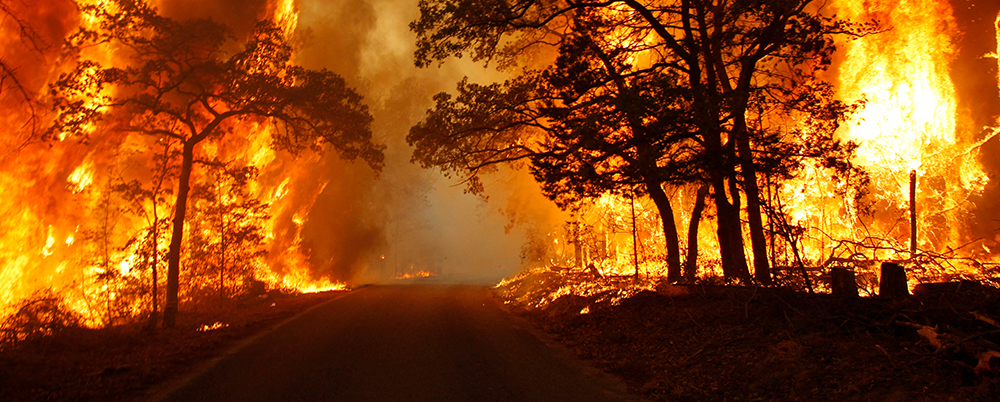 Image of fire engulfing a Texas road
