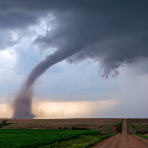 Our hearts are with Kentucky, Missouri, and communities across the U.S. who are mourning after deadly tornado outbreaks this week. 2025 is set to be one of the most active tornado seasons on record.