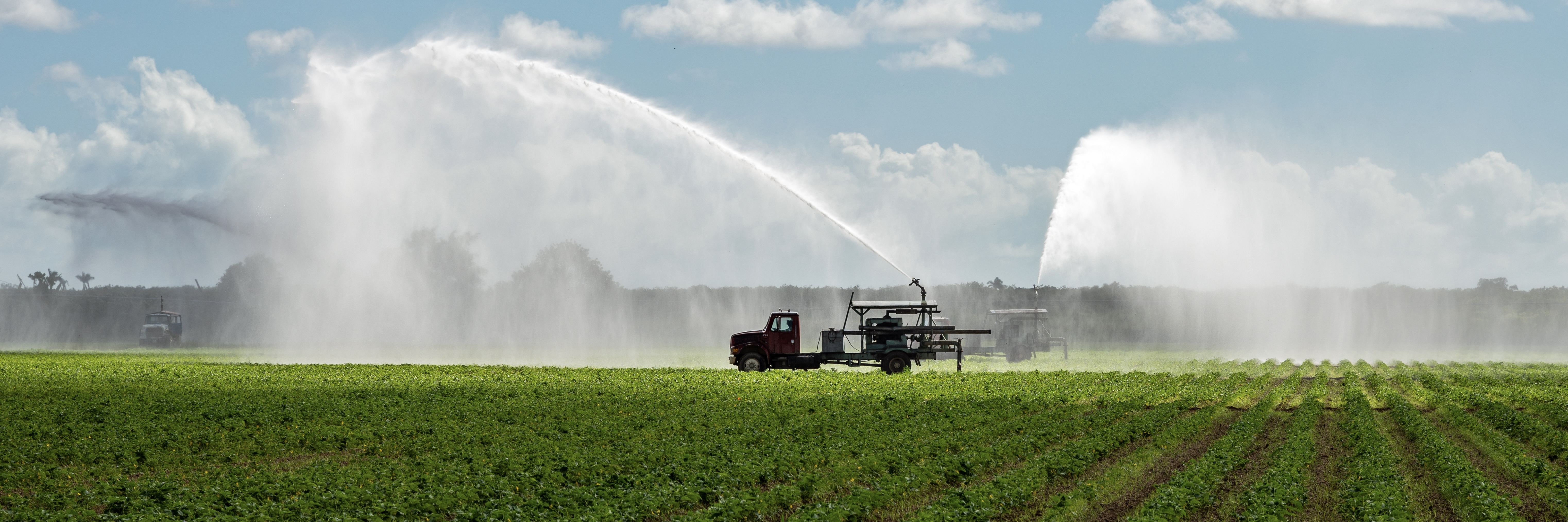 Irrigation of planted fields using pump trucks in Homestead, Florida.
