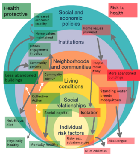 Ecosocial Model